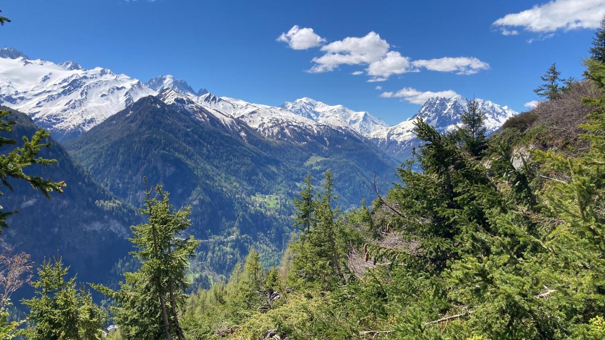 Bel Appartement 2.5 Pieces Avec Balcon, Magnifique Vue Sur Le Glacier Des Grands Finhaut Exterior foto